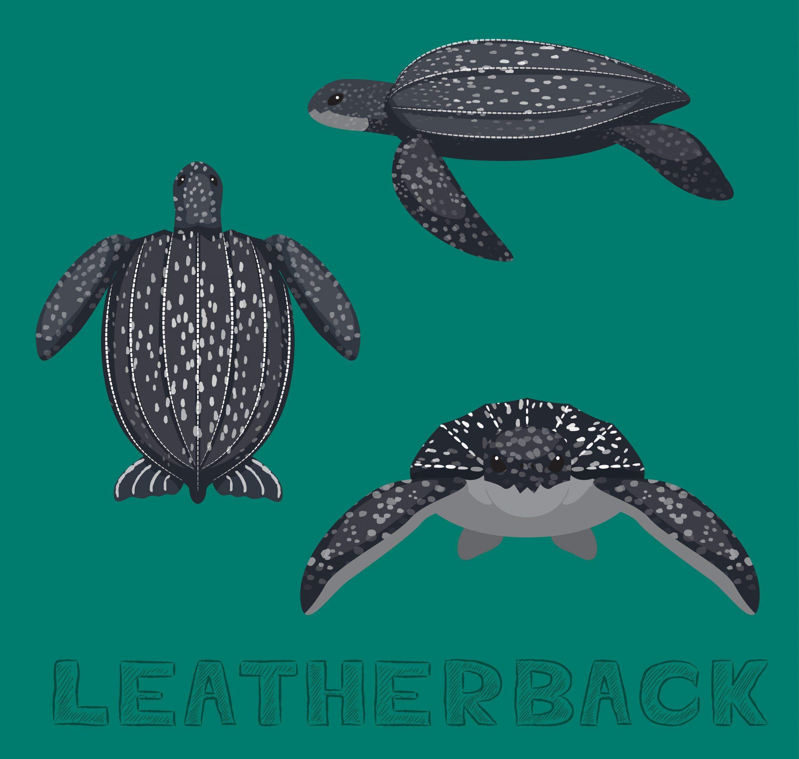 Sea Turtle Leatherback Cartoon Vector Illustration